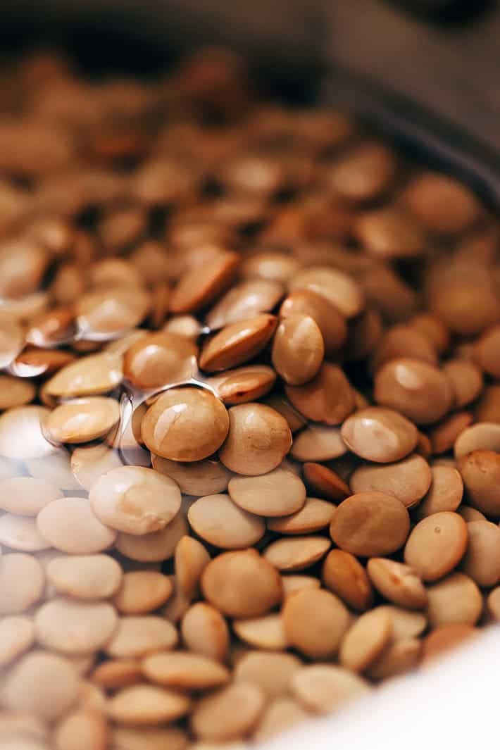 brown lentils soaked in water