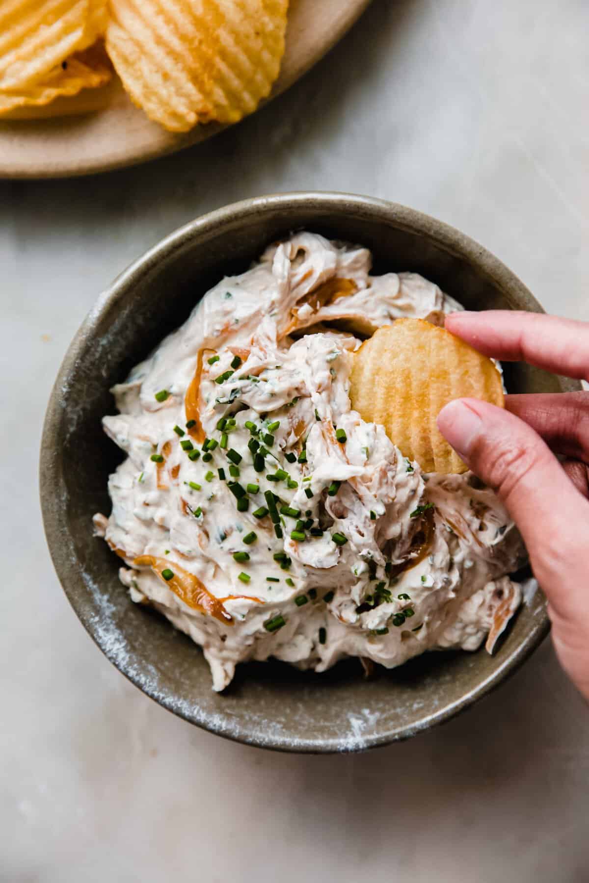 Caramelized Onion Dip