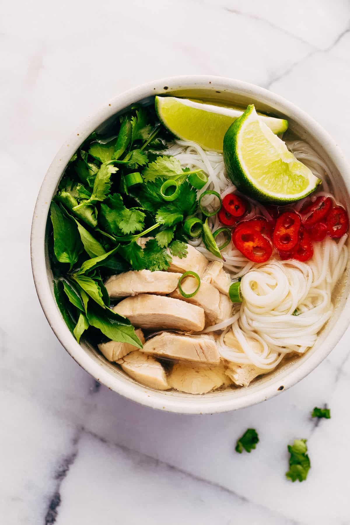 Instant Pot Chicken Pho Noodle Soup (Pho Ga)