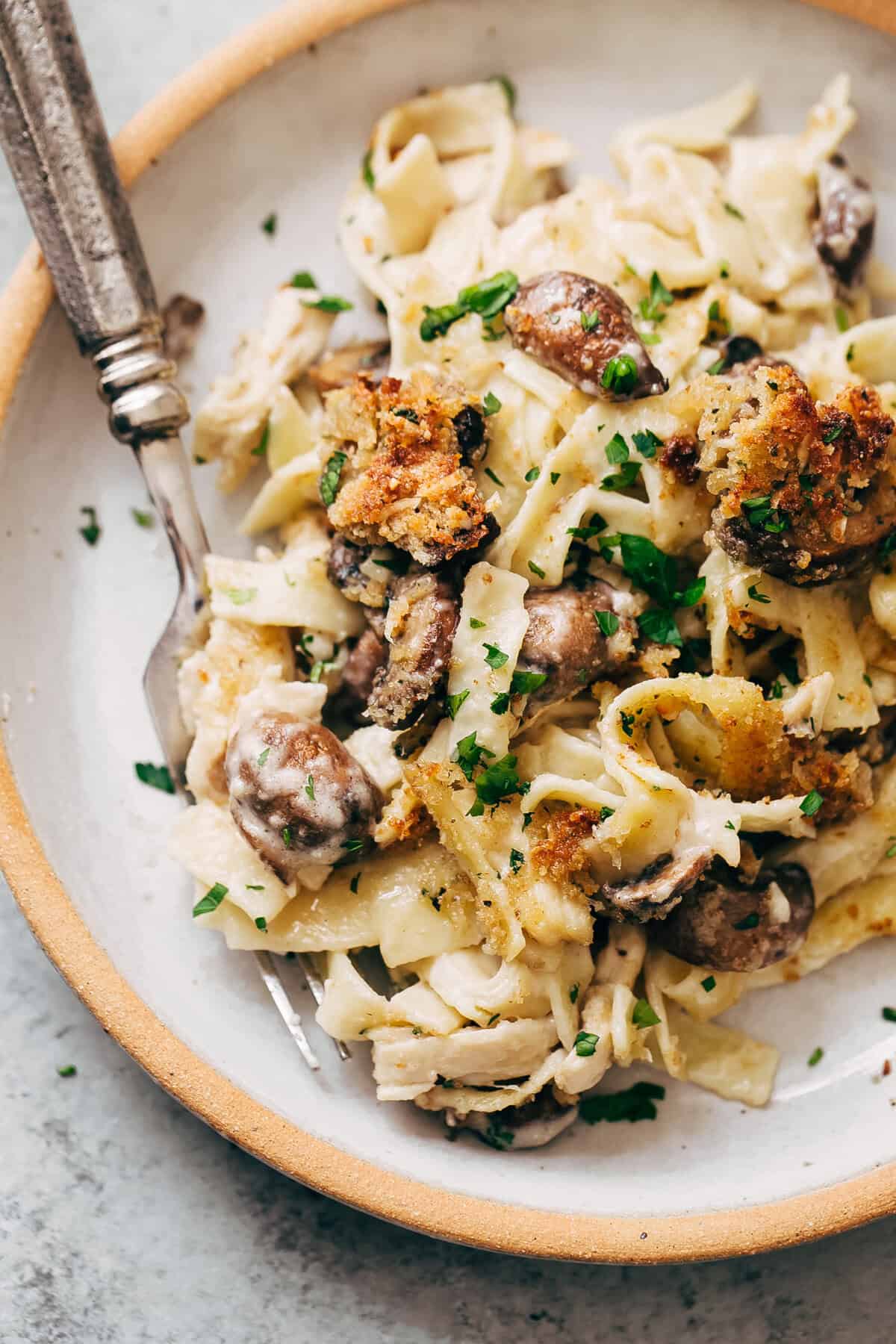 Cozy Creamy Chicken Tetrazzini Recipe | Little Spice Jar