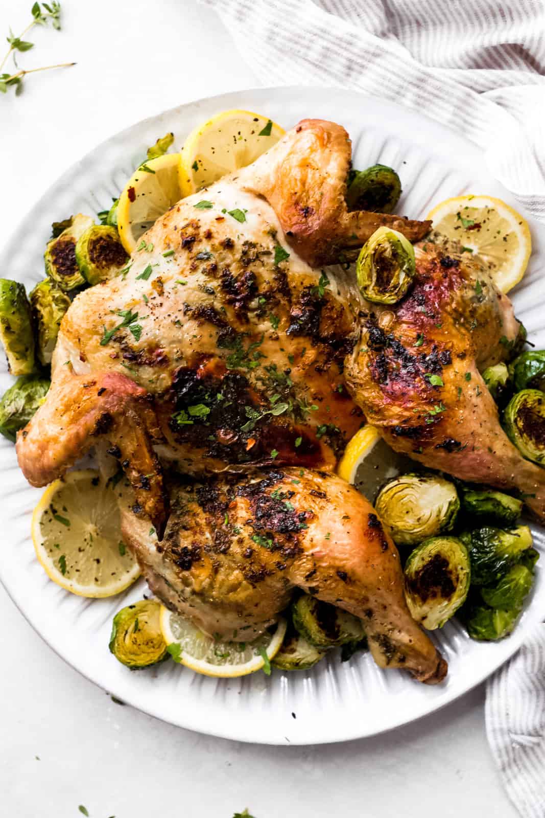 Roasted Herb Butter Spatchcock Chicken (Step-by-Step) Recipe