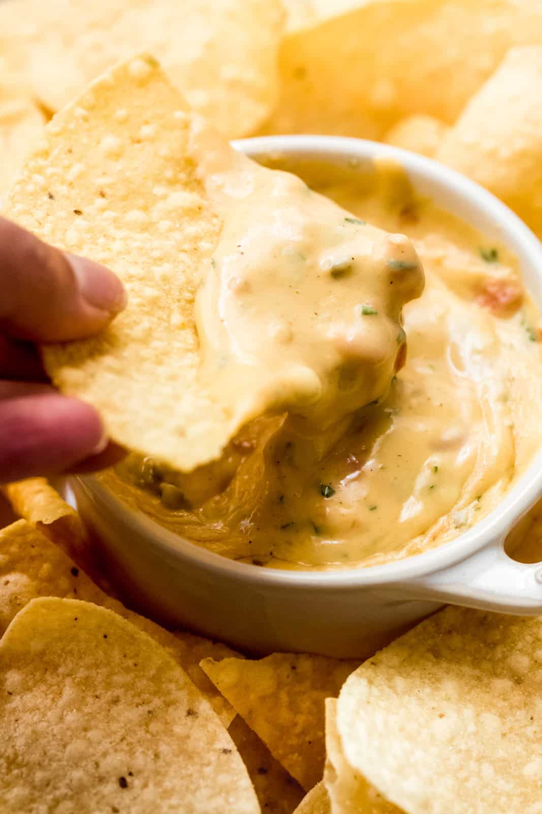 Texas Green Chili Queso Dip