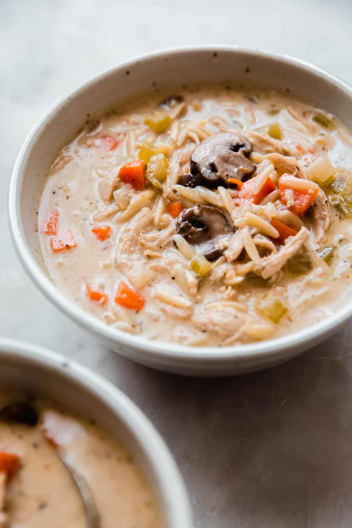 Creamy Chicken Mushroom Soup with Orzo Pasta
